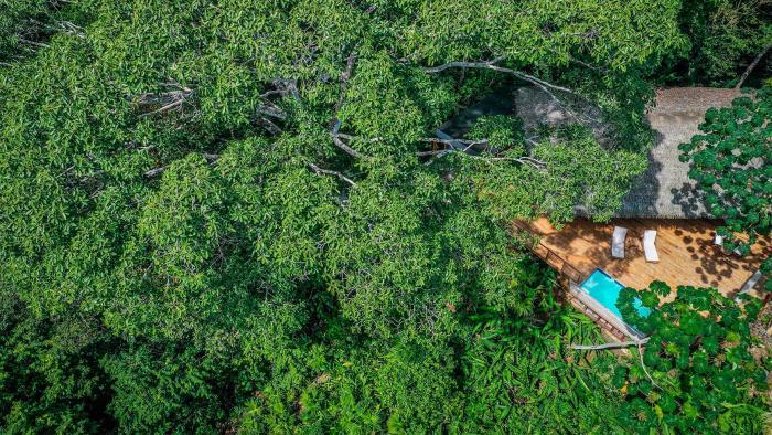 Lapa Rios Lodge By Boeena Puerto Jiménez Δωμάτιο φωτογραφία