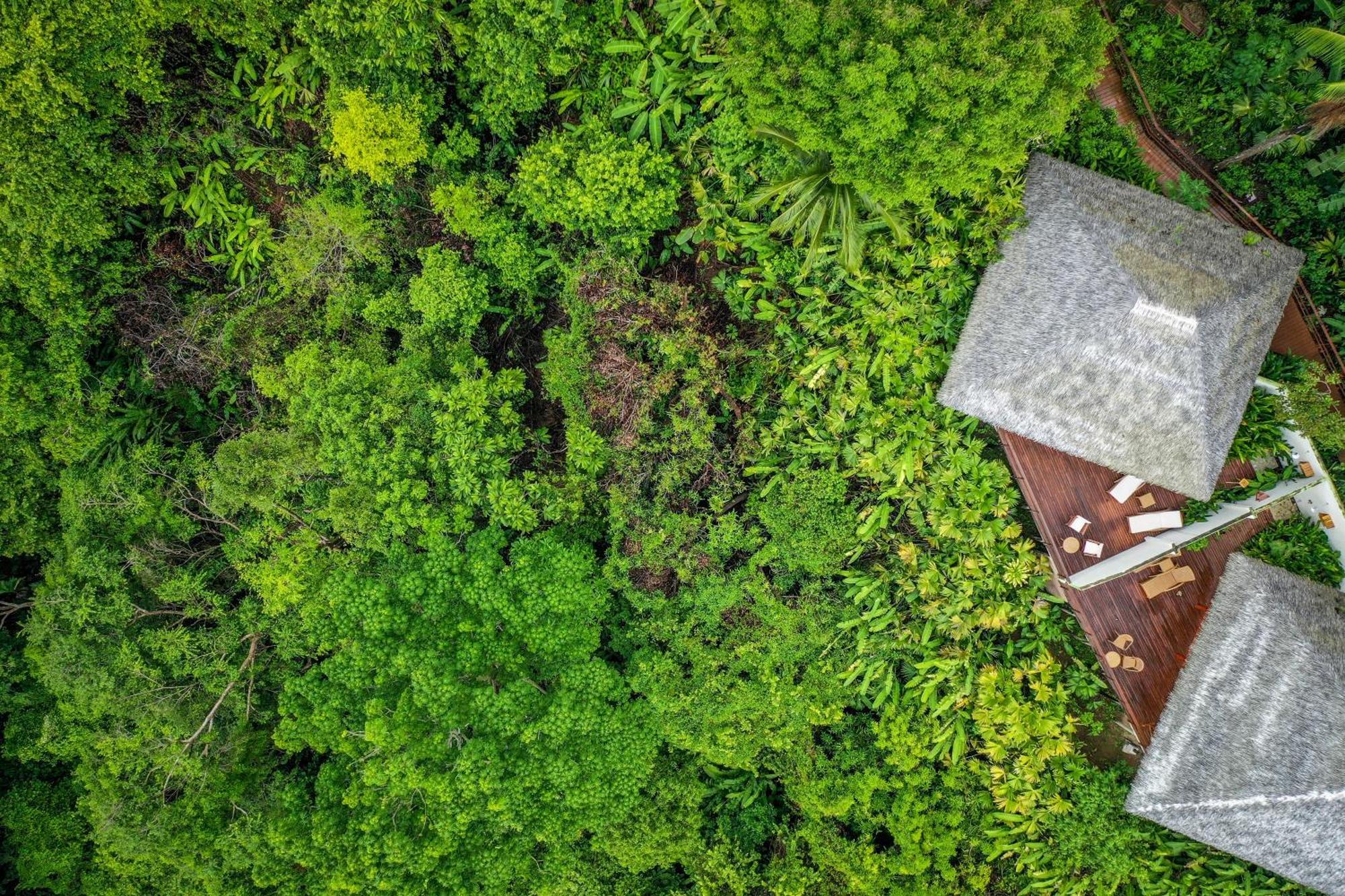 Lapa Rios Lodge By Boeena Puerto Jiménez Εξωτερικό φωτογραφία