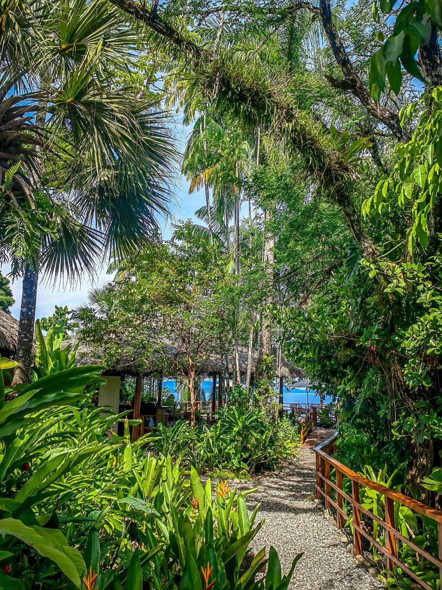 Lapa Rios Lodge By Boeena Puerto Jiménez Εξωτερικό φωτογραφία