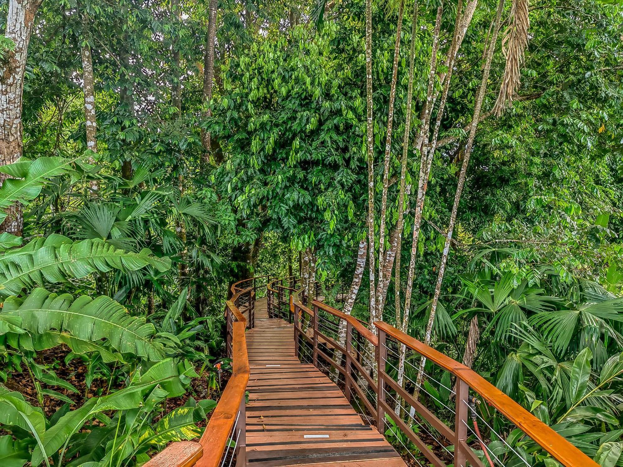 Lapa Rios Lodge By Boeena Puerto Jiménez Εξωτερικό φωτογραφία