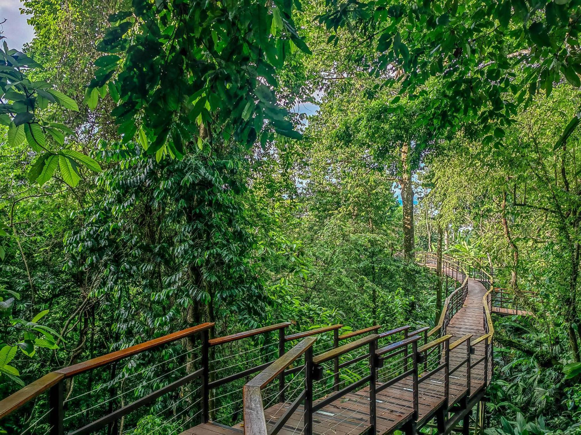 Lapa Rios Lodge By Boeena Puerto Jiménez Εξωτερικό φωτογραφία